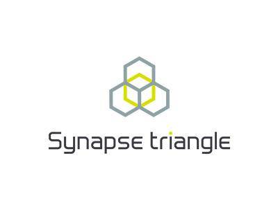 Synapse triangle collection grid identity logo minimal msd synapse triangle