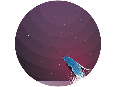 Whale night sea sky splash whale