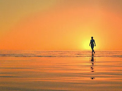 Follow the Water 3d cinema4d film photoshop render scene