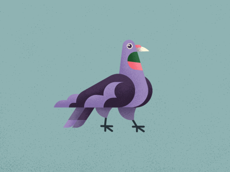 Browse thousands of Cape Animation images for design inspiration | Dribbble