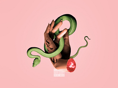 SARTØR. album artwork album cover illustration mixed media rap snake