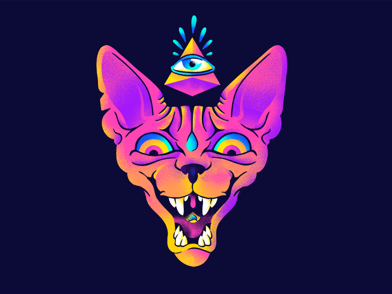 Colorful Kitty animation cat colorful gif gradient illustration kitty rainbow trippy