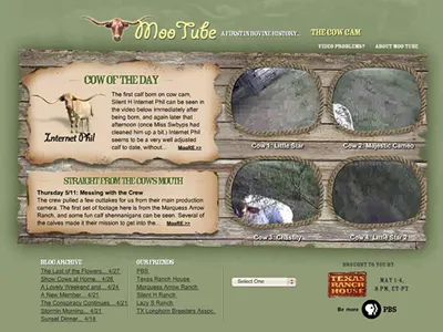 MooTube animation ux video website