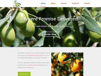 Alyoumna Fruits Website