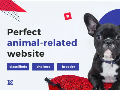 3 types of animal websites animals breeders classifids design dog shelters web website