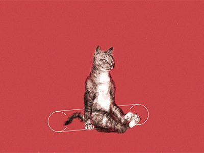 Cat loop! aftereffects animation cats cell digital mograph motion design paint