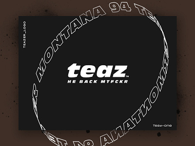 Teaser_Logo- Montana blaze graffiti lettering logo logotype montana nike parody spray tag teaser teazer