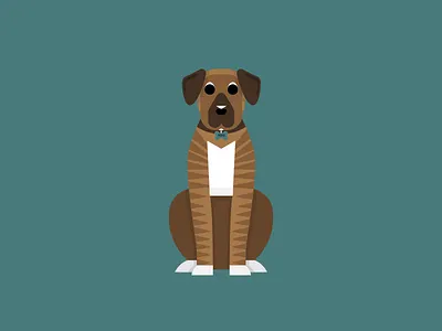 Peso the Dog dog flat illustration peso