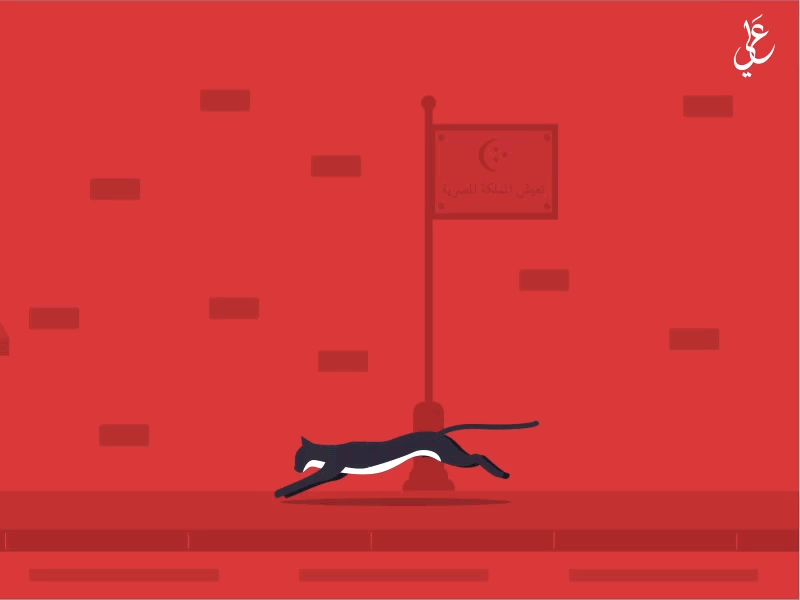 Cat runs animation cat illustration red run street