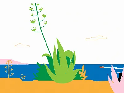Nazaré beach cactus homepage illustration landscape nazaré ocean portugal summer