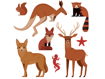 Red Animals animals childrens illustration illustration kangaroo nature red panda science