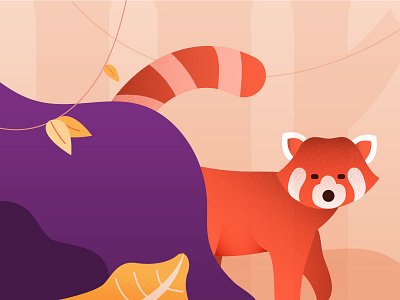 Peeking Out animals illustration panda red panda zoo