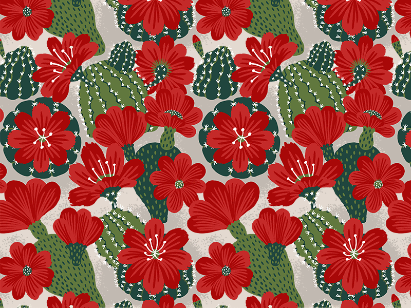 Desert Floral cactus floral flowers hawaiian illustration print surface