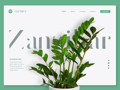 Landing Page dailyui landing nursery page zanzibar