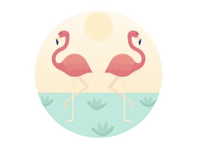 Flamingos beach birds flamingo