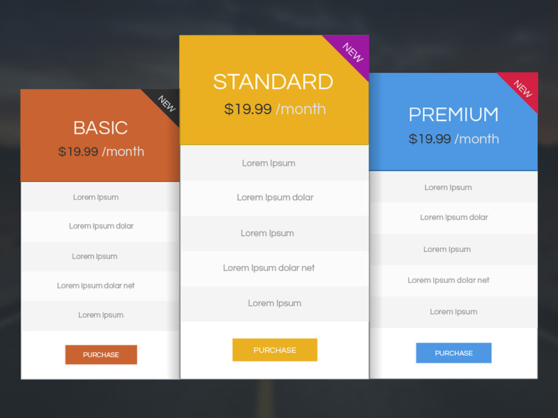Example of Pricing Table | Pricing Chart Design