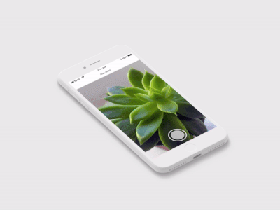 succulent care animation ui