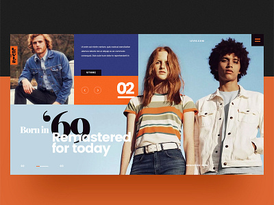 Web Design / UI Design