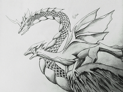 Dragons art dragon dragons scales sketch