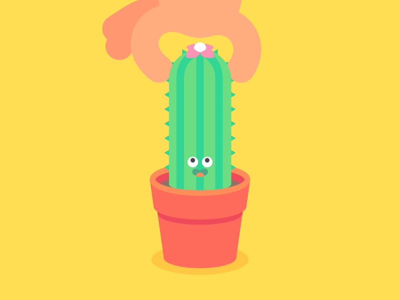 Cactus