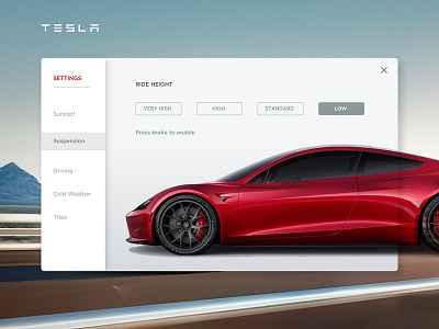 Settings Page dailyui settings tesla