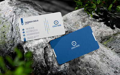 Business Card branding graphic design logo