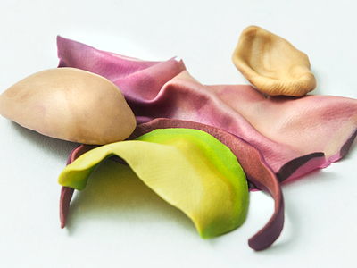Colour study plasticine