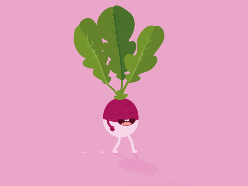 Pas Radis - Les mots dits 2d animation after effects character motion