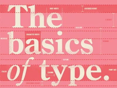 The Basics of Type basics book colors design type