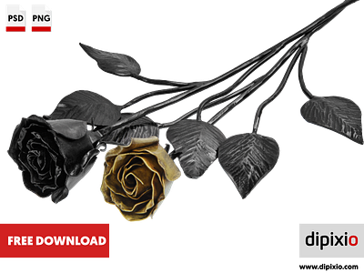 Forged roses affinityphoto dipixio freebie freedownload freeimages freephoto luminar2018 photo photography photos pic