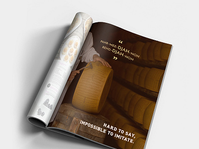 Magazine Ad ad magazine parmesan parmigiano reggiano