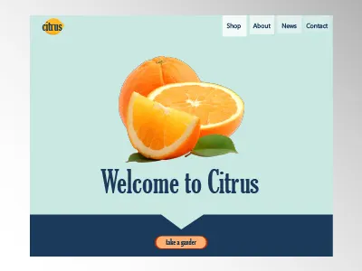 Daily UI Challenge 004 Landing Page blue color daily ui design landing page orange ui ui challenge ui design web design