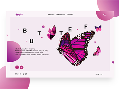 Web Design web