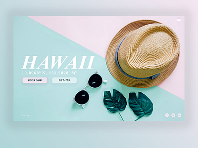 Hawaii (UI Design) app design branding graphic design ui design ux design web design