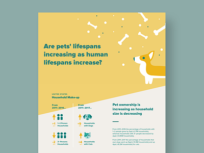 Pet vs Human Lifespans corgi data infographic information design pet pets