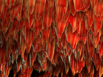 More Stalactites 3d c4d cinema 4d displacement maxon modelling procedural research