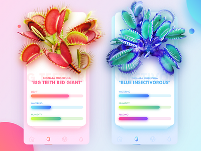 Carnivorous Plants Explore App app application carnivorous concept design interface ios iphone plants product ui