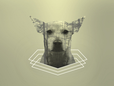 My Bella dog art double exposure double exposure art graphic design