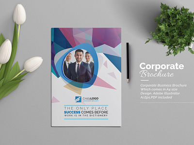 Bi-Fold Brochure a4 paper abstract brochure agency brochure bi fold bi fold brochure brochure brochure design brochure template business brochure clean brochure corporate brochure educational brochure