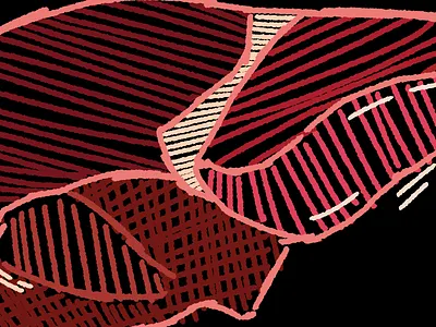 kidney 2d body kidney organ