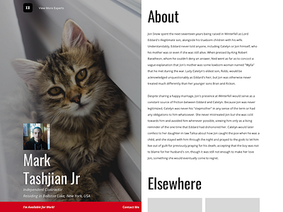 Indie Experts Profile v3 indiexperts paid profile