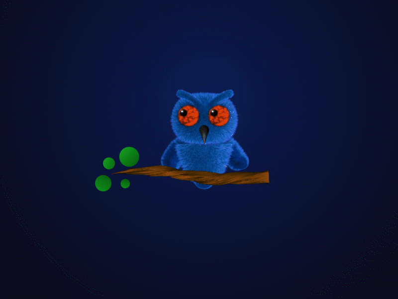 There's a baby owl! adobe aftereffects animation c4d cinema4d cute gif night owl