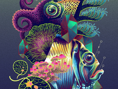 Luminescence animal coral fish geometry illustration marine mushroom nature ocean octopus sea squid