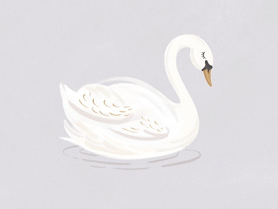 Swan Illustration bird illustration nursery swan