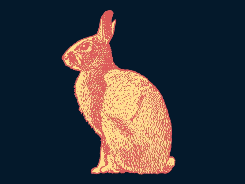 Black Magic Halftone Brush Kit bunny magic magical magician rabbit retro vintage skeleton x ray