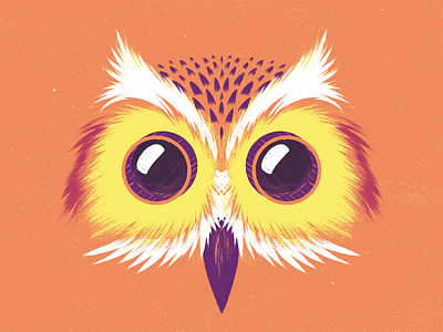 Camera Owl animal búho camera cine cinema film grain illustration owl texture wacom