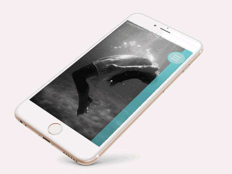 Side Navigation User Interaction animation interaction mobile navigation ui ux