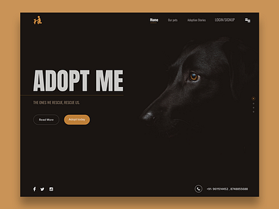 Website Banner adopt banner dog ui wesite