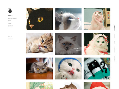 Web Practice ui web