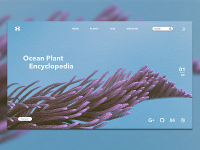 Landing Concept concept landing minimalistic modern ocean page plant